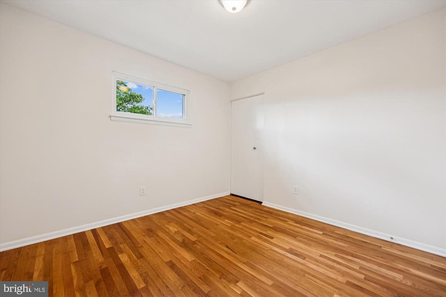 14104 Bauer Drive photo 39