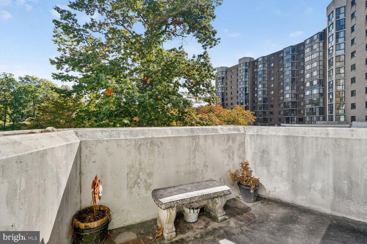 15101 Interlachen Drive #1-123 photo 18