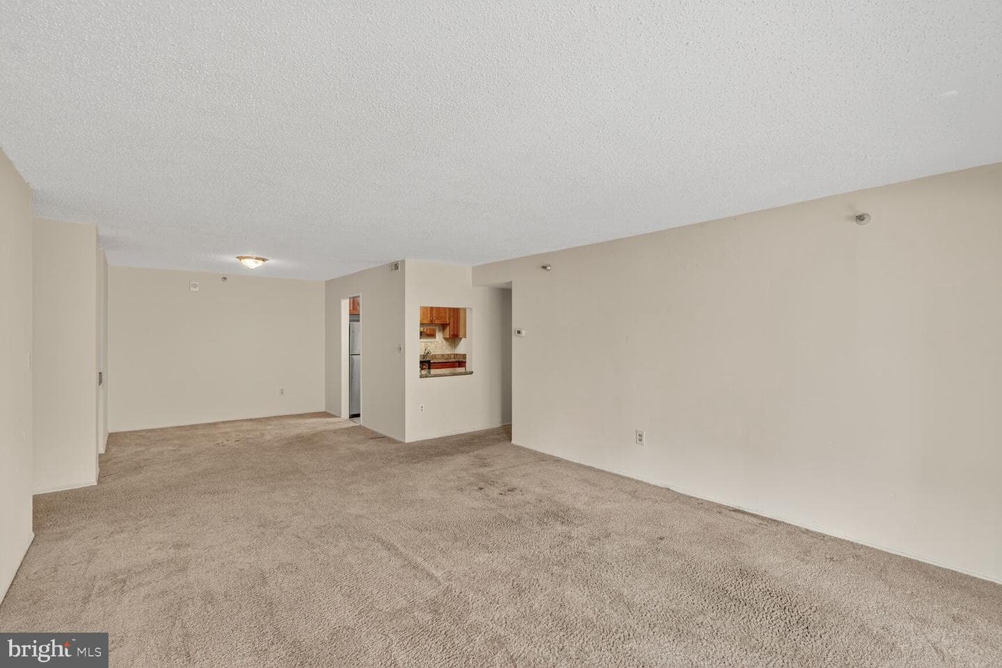 15101 Interlachen Drive #1-123 photo 7
