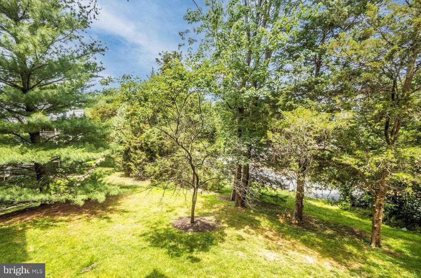 13105 Briarcliff Terrace #11-1104 photo 13