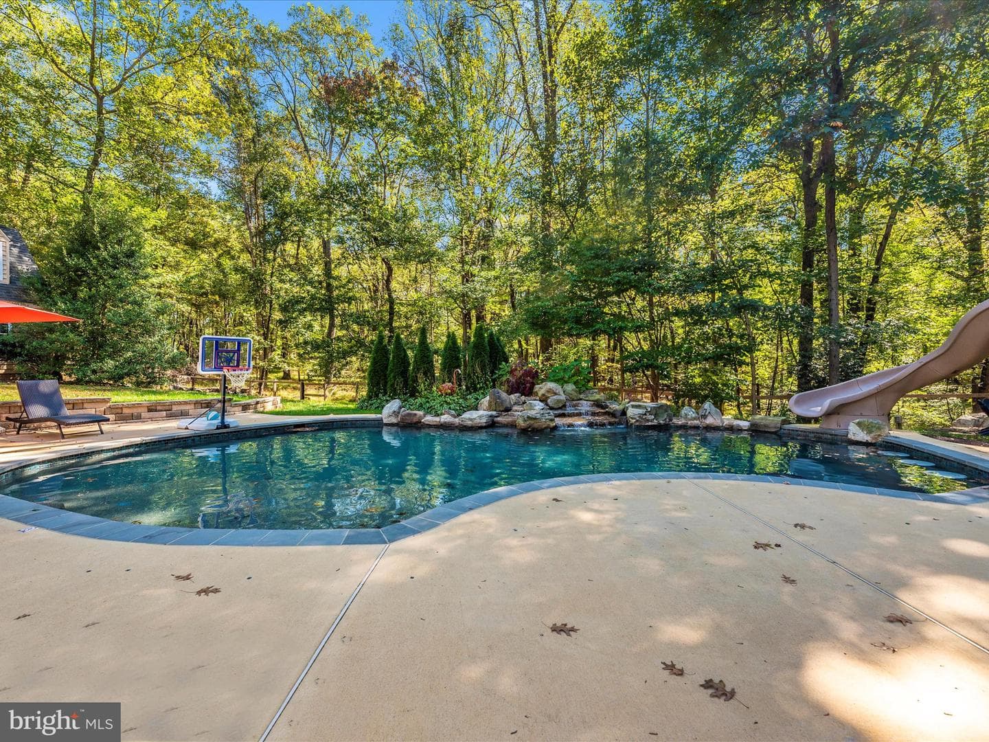 24213 Muscari Court photo 63