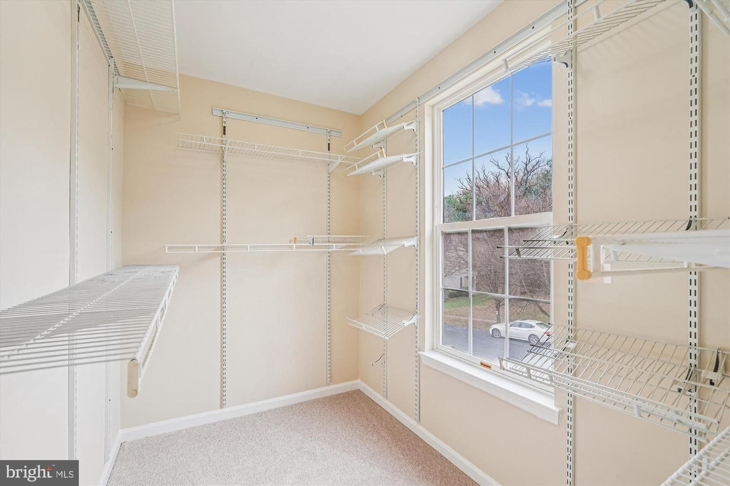 20820 Tall Forest Drive photo 23