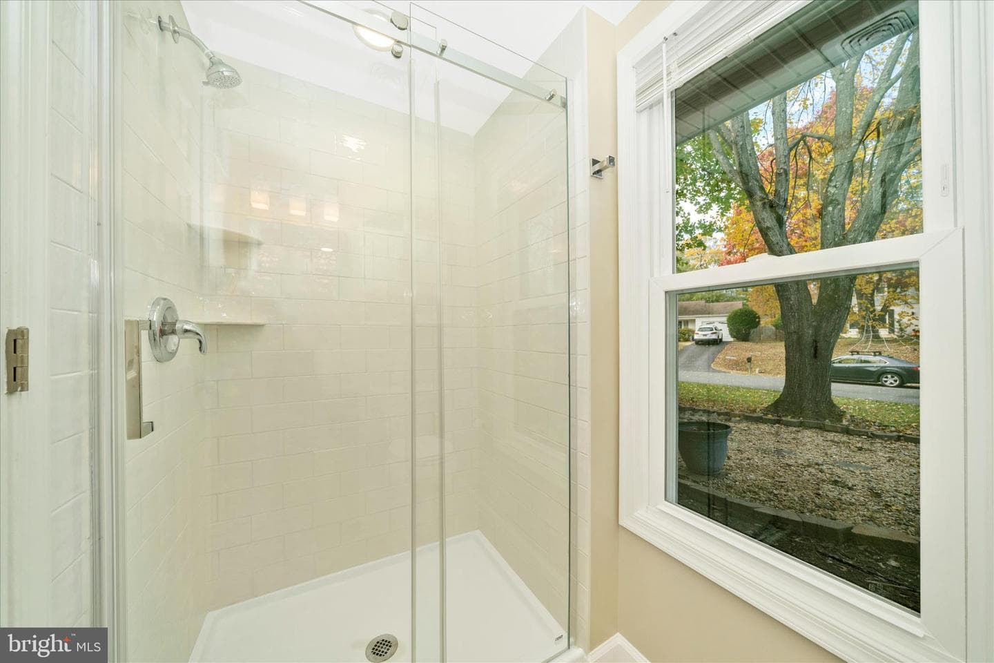 15428 Peach Leaf Drive photo 28