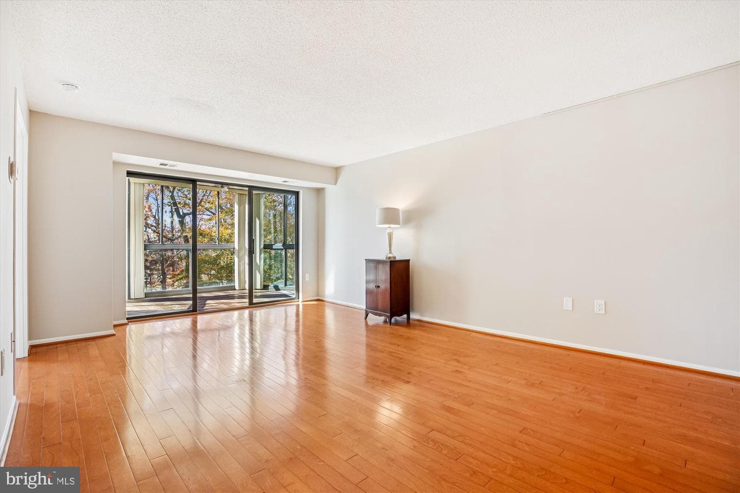 15115 Interlachen Drive #3-308 photo 4