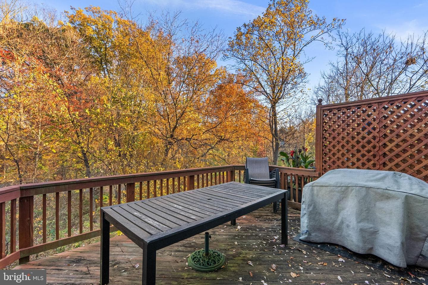 20442 Summersong Lane photo 28