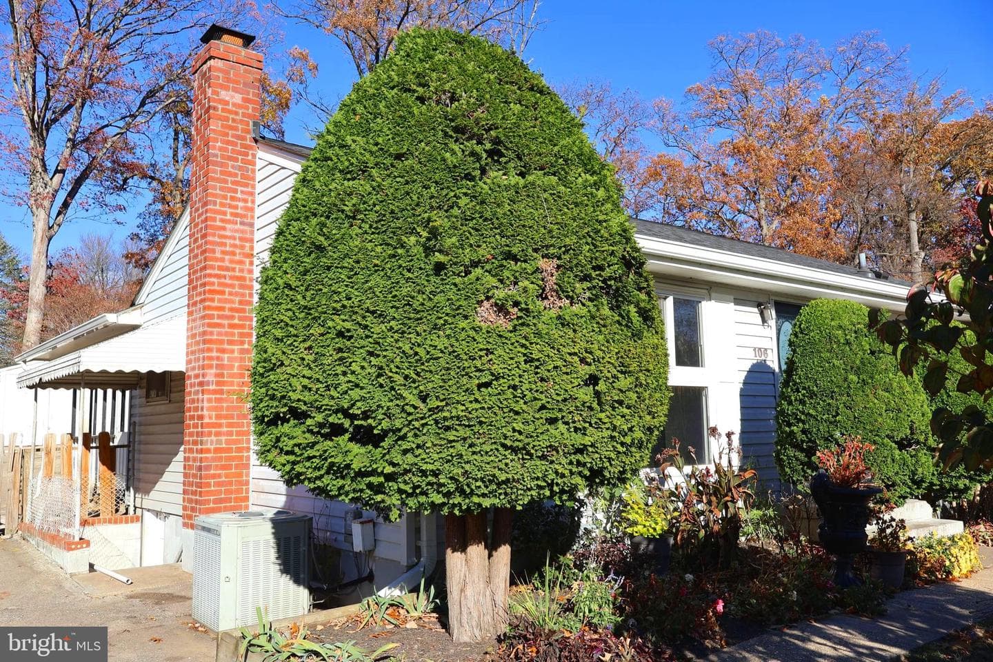106 Hutton Street photo 4