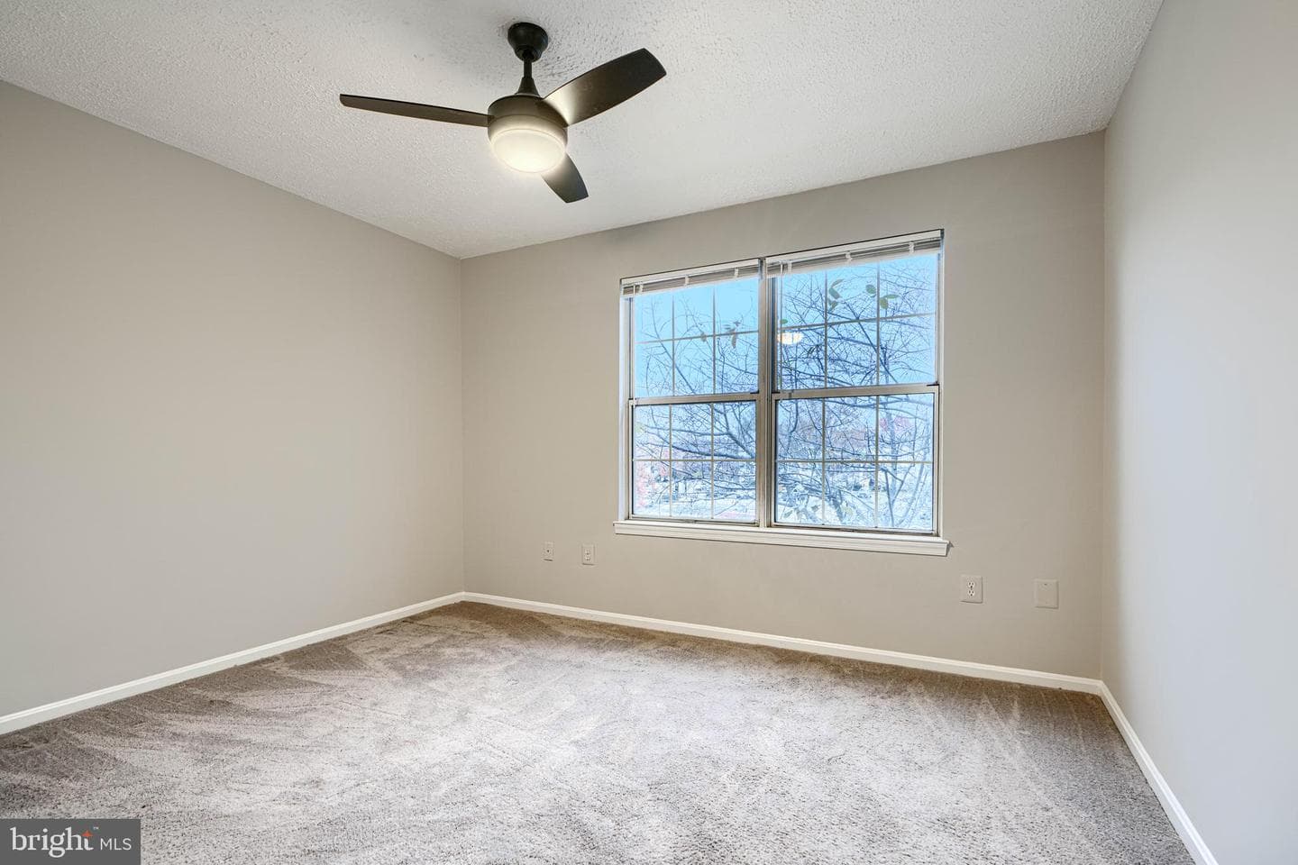 14905 Cleese Court #5af photo 21