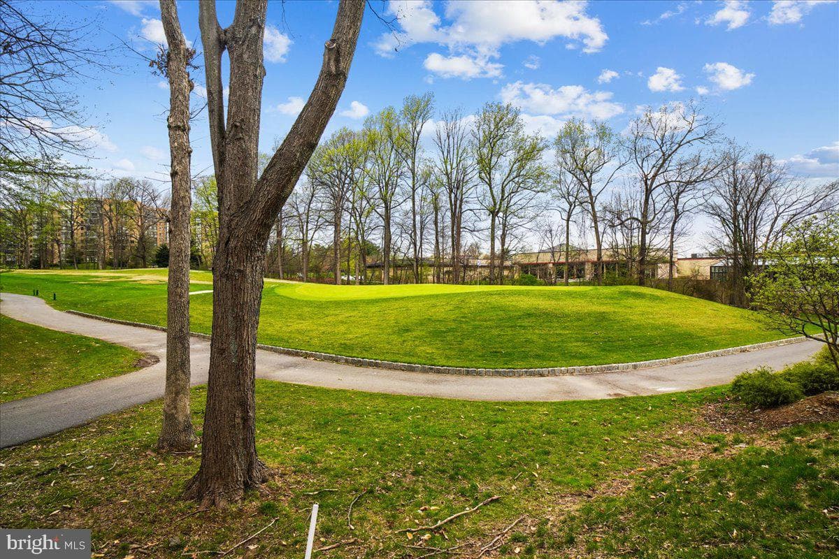 15101 Interlachen Drive #1-614 photo 36
