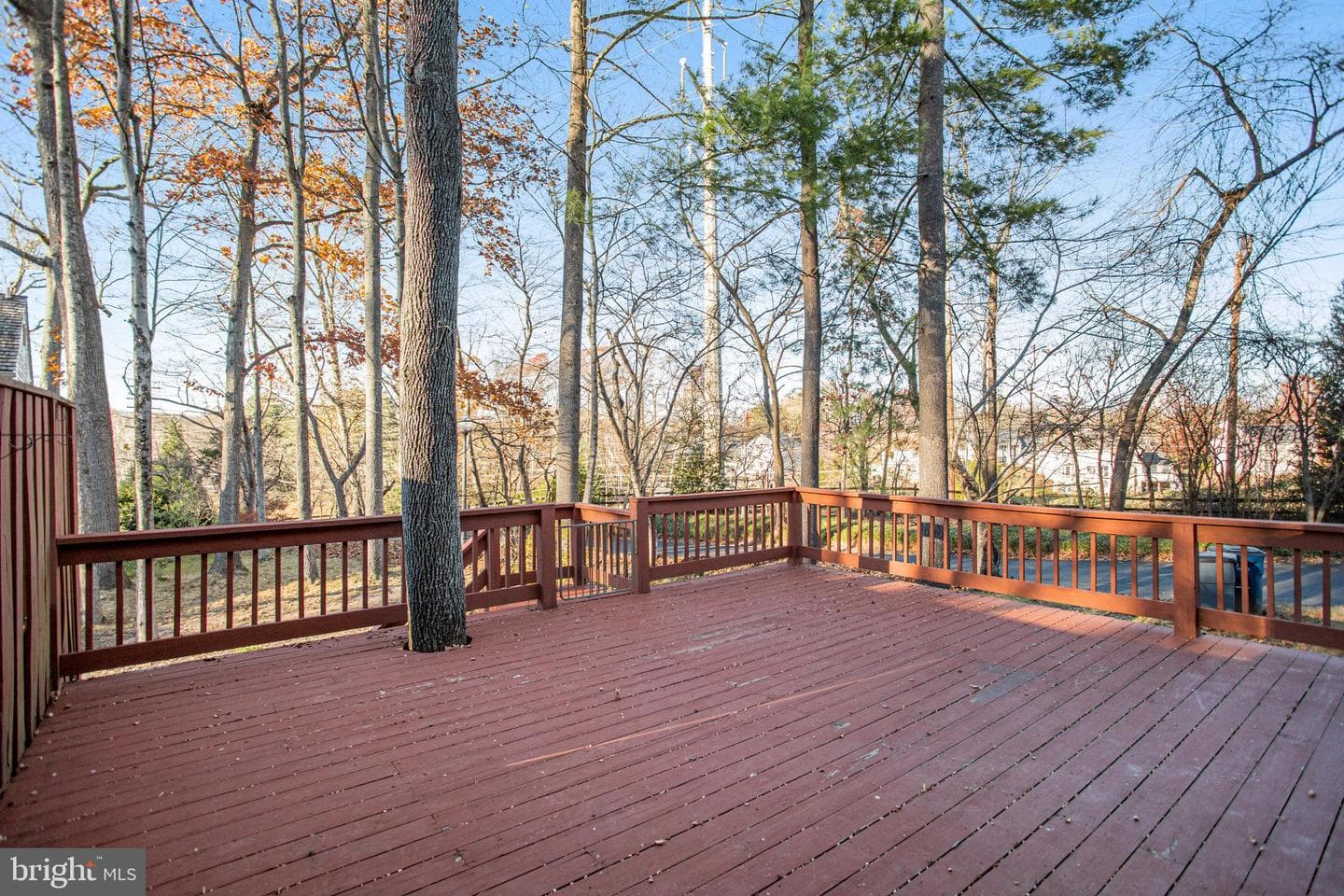 18 Bentridge Court photo 76