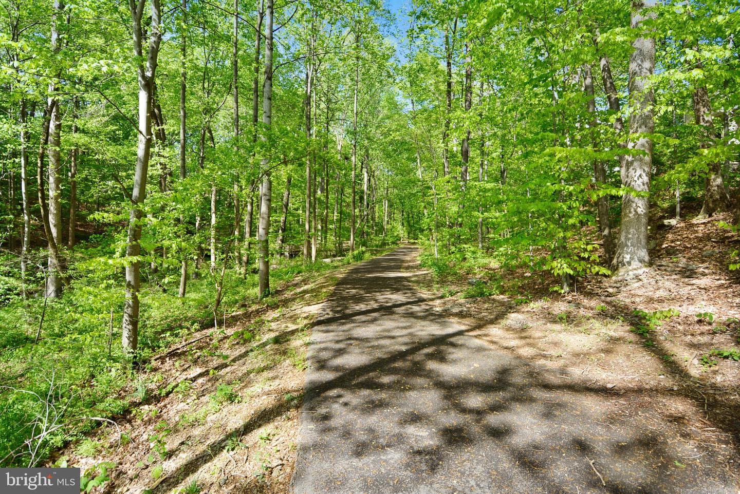 13626 Deerwater Drive #1-C photo 42