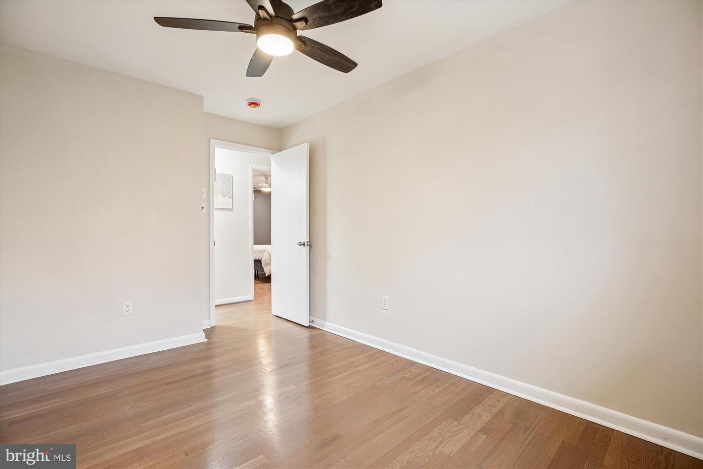 713 Horton Drive photo 16