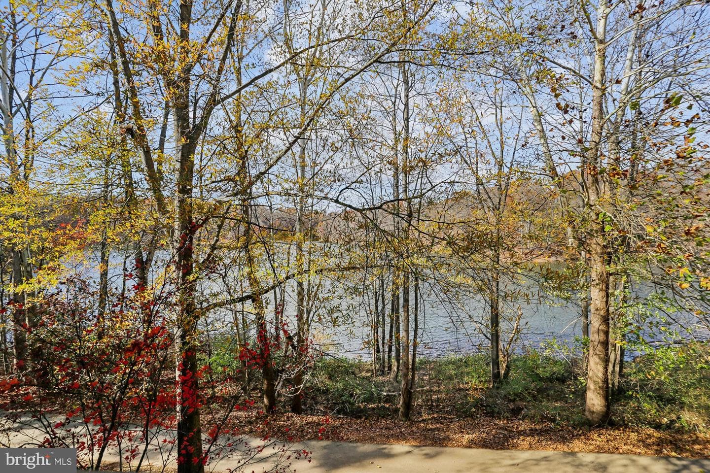 20406 Shore Harbour Drive #4-F photo 42
