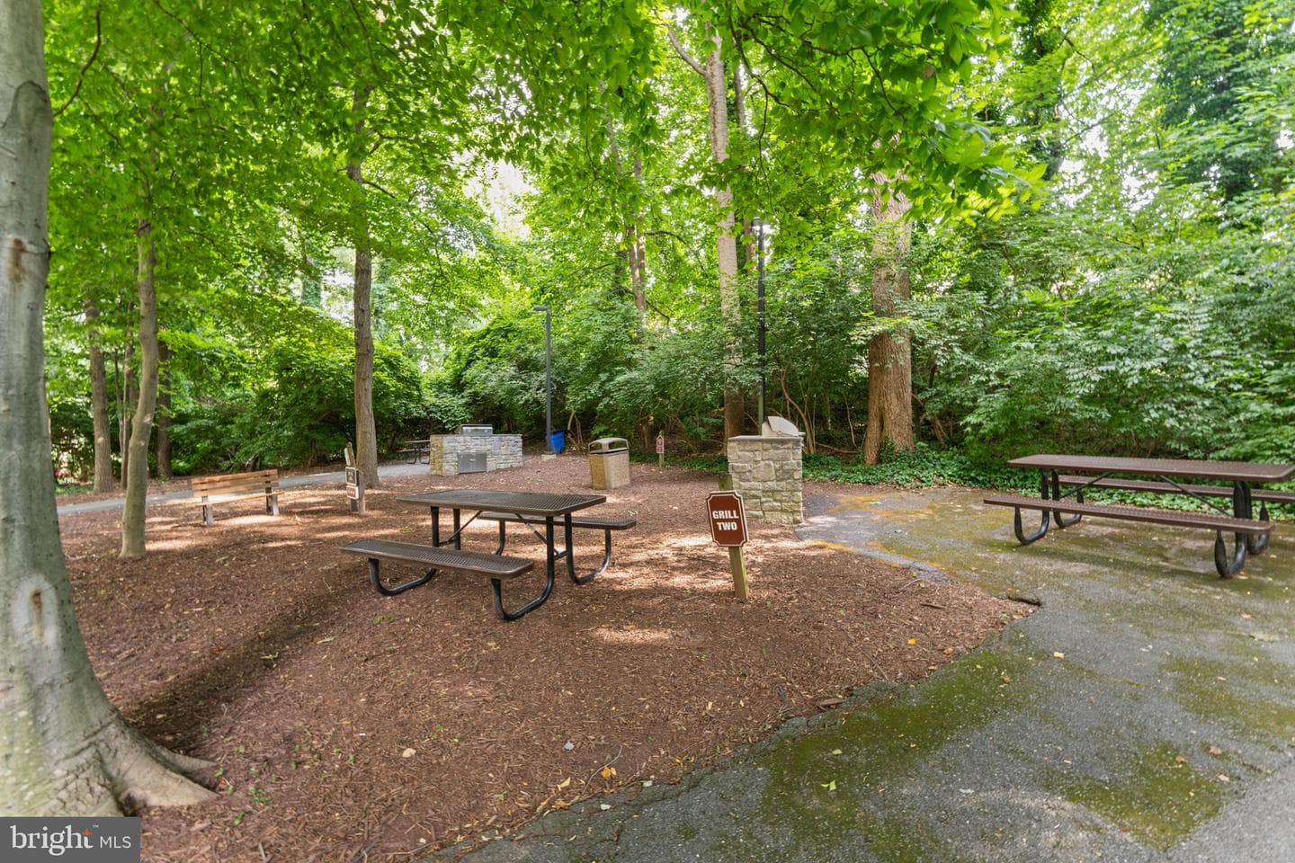 5225 Pooks Hill Road #1305n photo 14