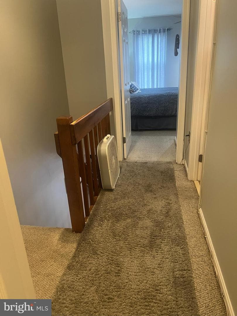 3055 Shepperton Terrace photo 12