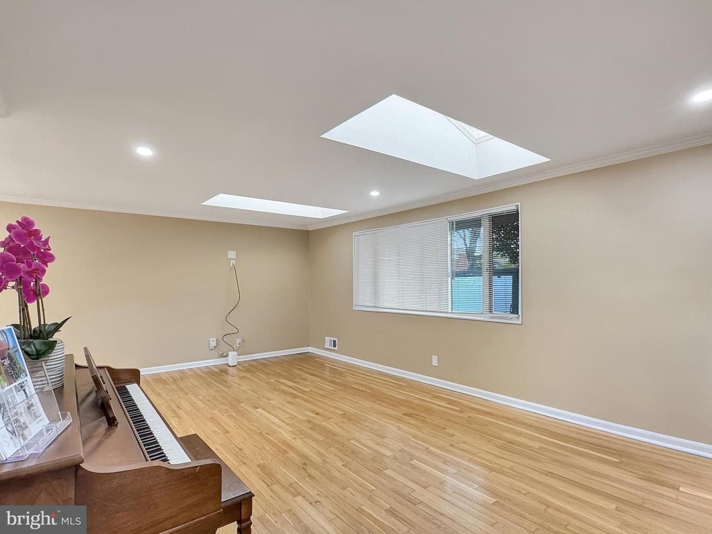 2408 Lillian Drive photo 7