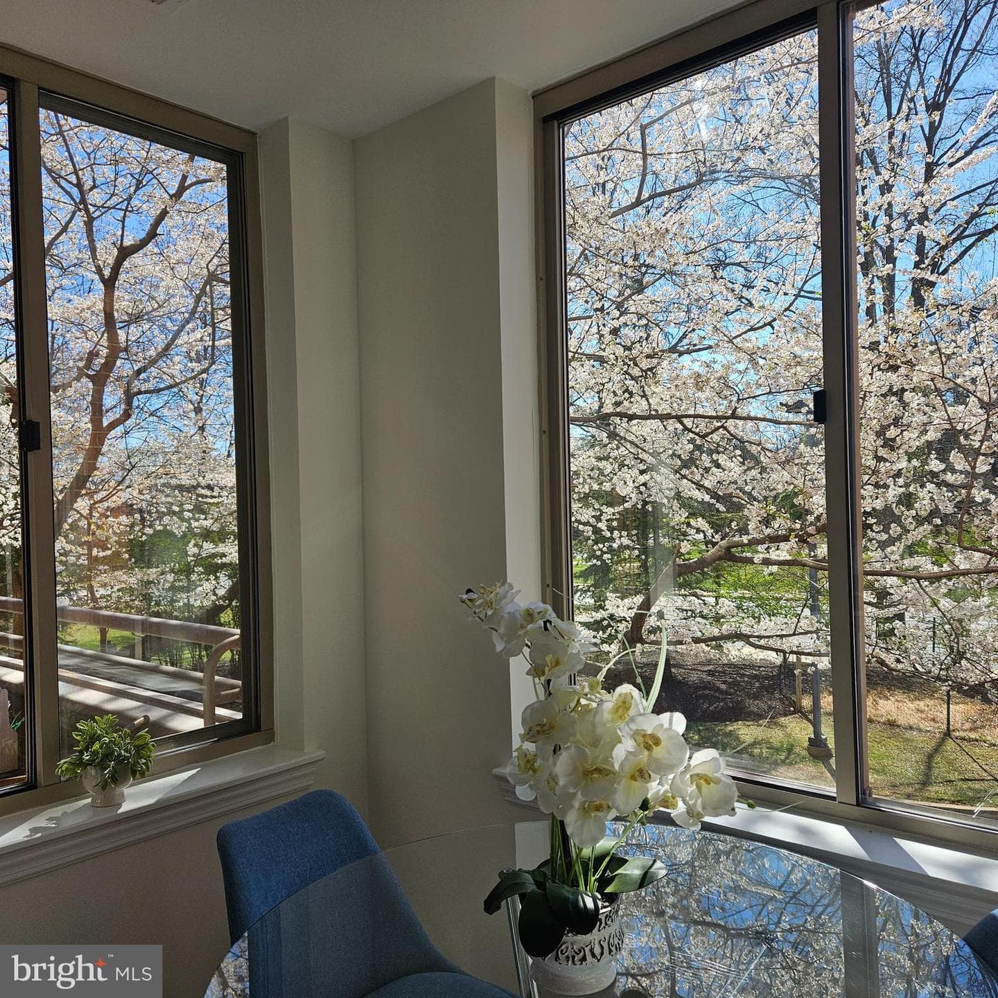 5809 Nicholson Lane #13 photo 19