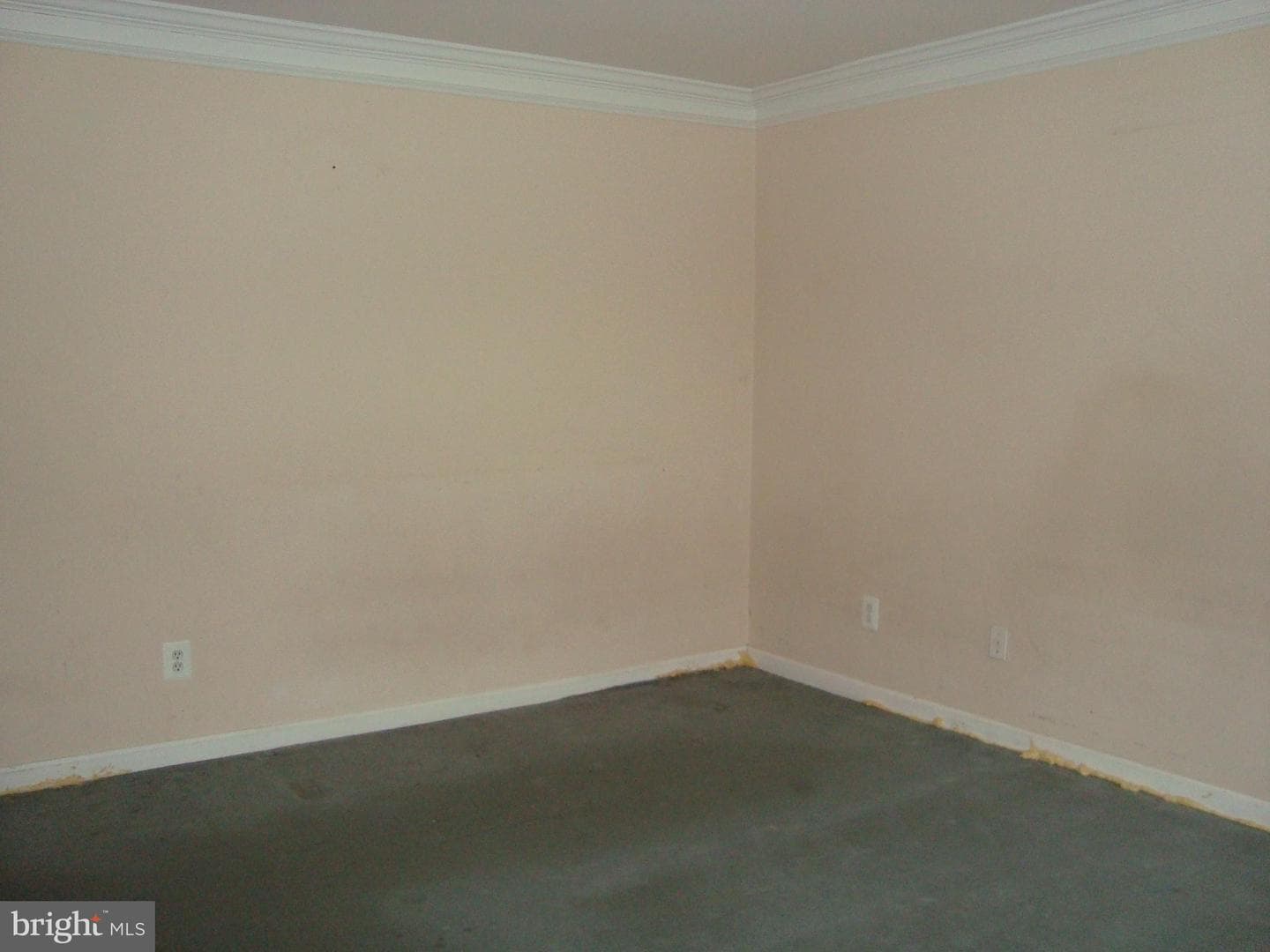 102 Duvall Lane #6-202 photo 18