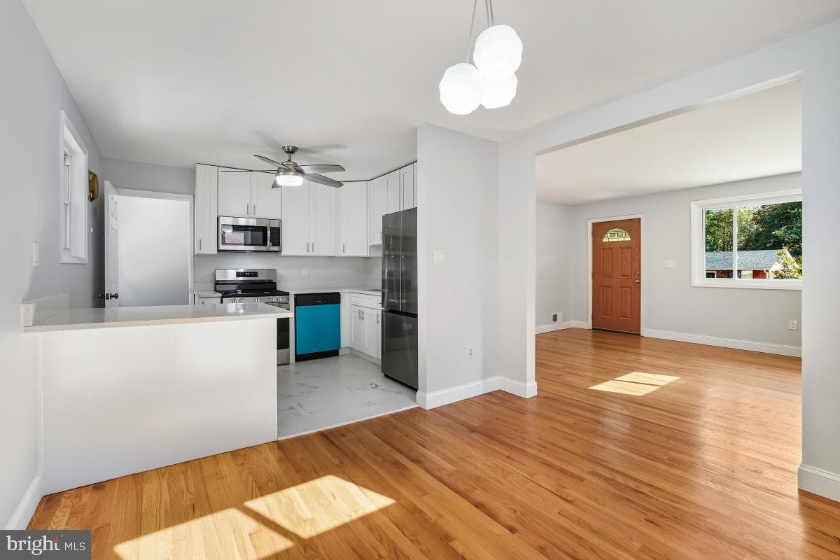 229 Hannes Street photo 10