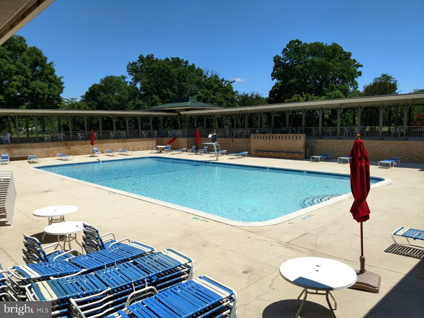 15115 Interlachen Drive #3-801 photo 42