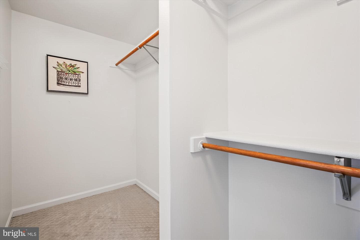 313 Potter Lane photo 41