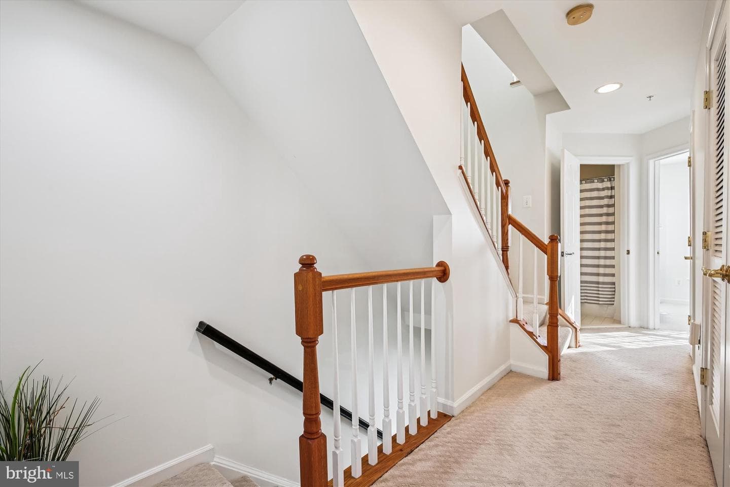 313 Potter Lane photo 50