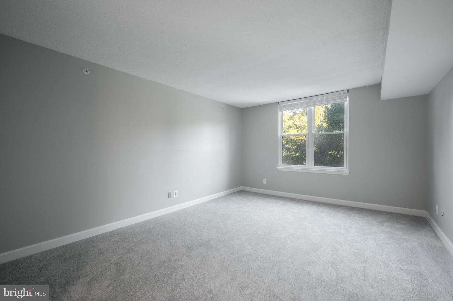 5000 Battery Lane #207 photo 19