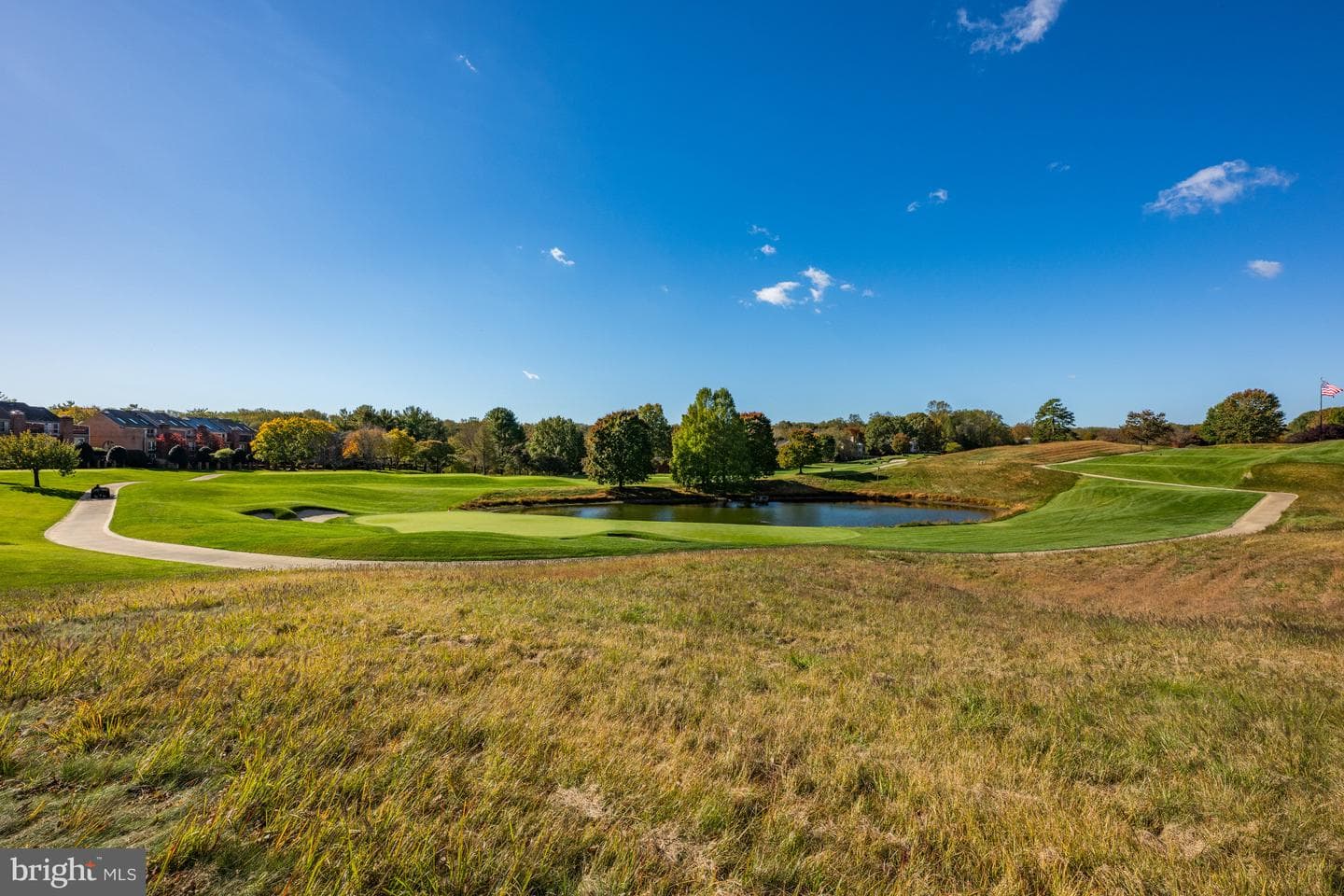 18 Beman Woods Court photo 4