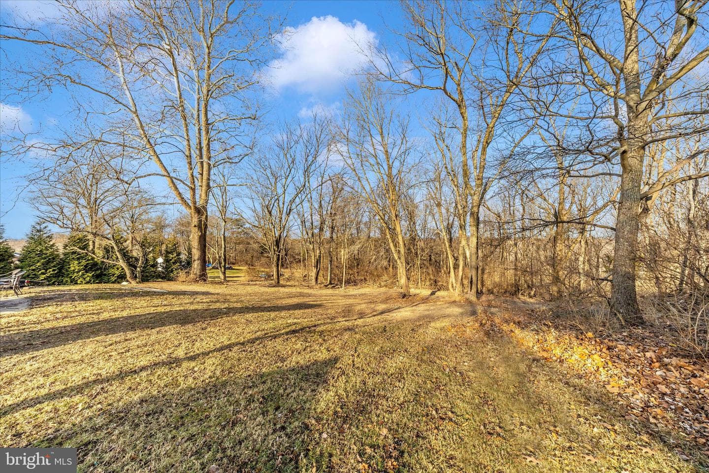 10325 Lewis Drive photo 7