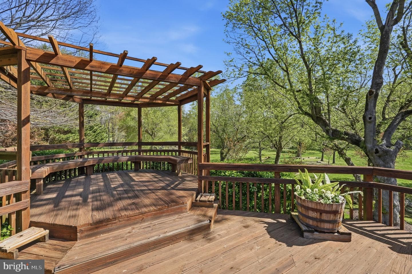 10517 Alloway Drive photo 31