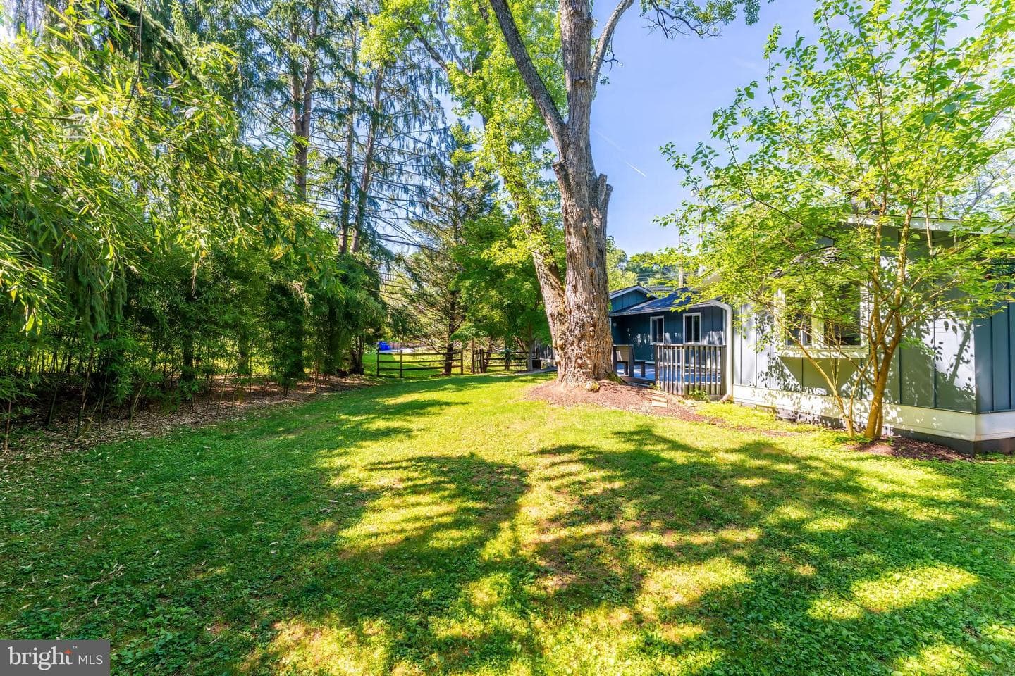 9812 Betteker Lane photo 29