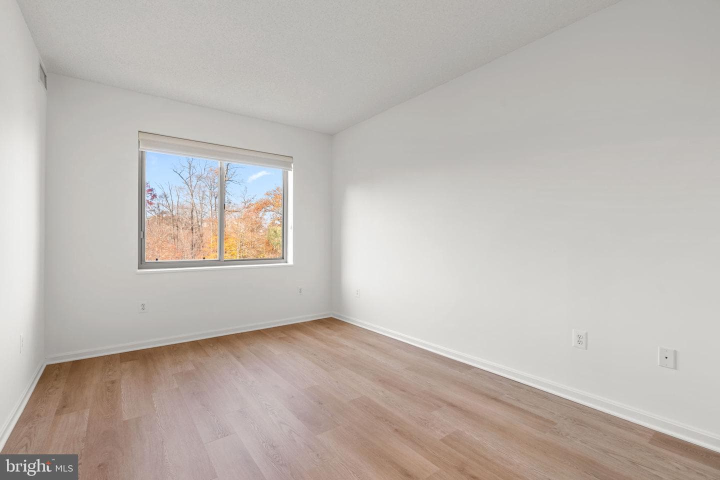 2901 S Leisure World Boulevard #233 photo 19