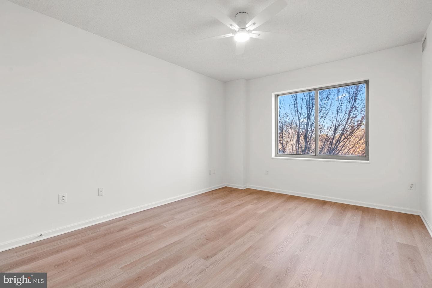 2901 S Leisure World Boulevard #233 photo 21