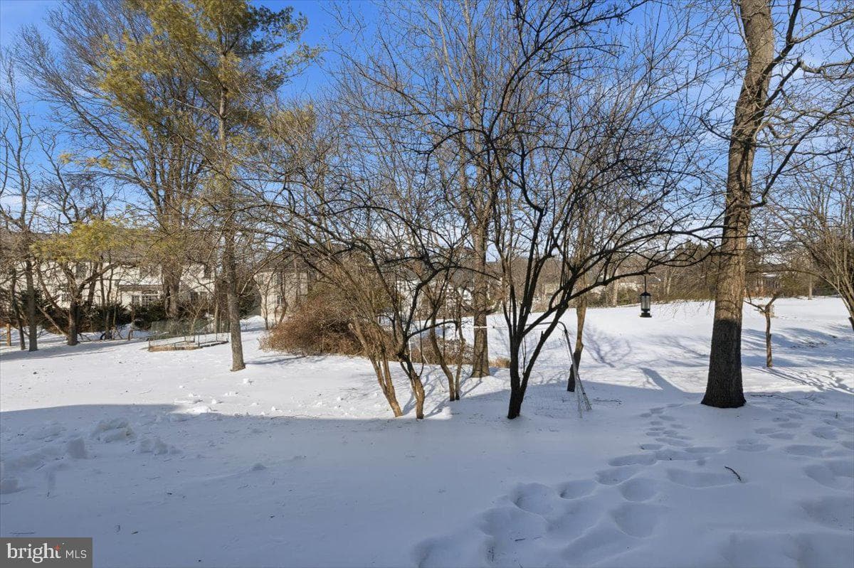 11221 Welland Street photo 55