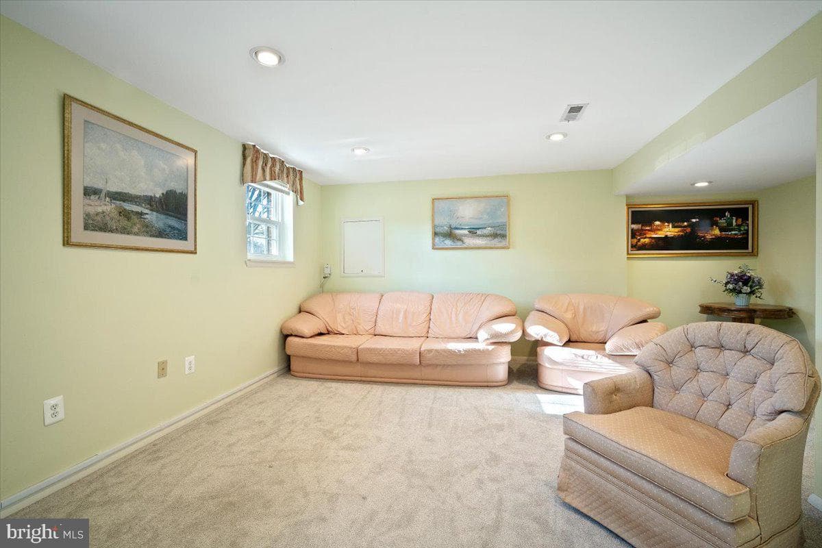 8217 Mountain Laurel Lane photo 21