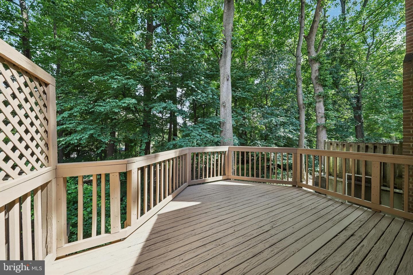 2062 Derby Ridge Lane #3-16 photo 47