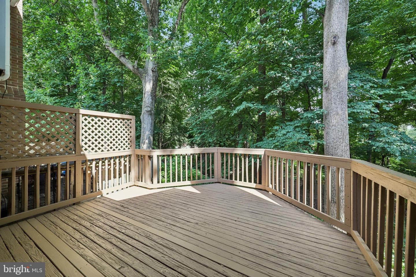 2062 Derby Ridge Lane #3-16 photo 6