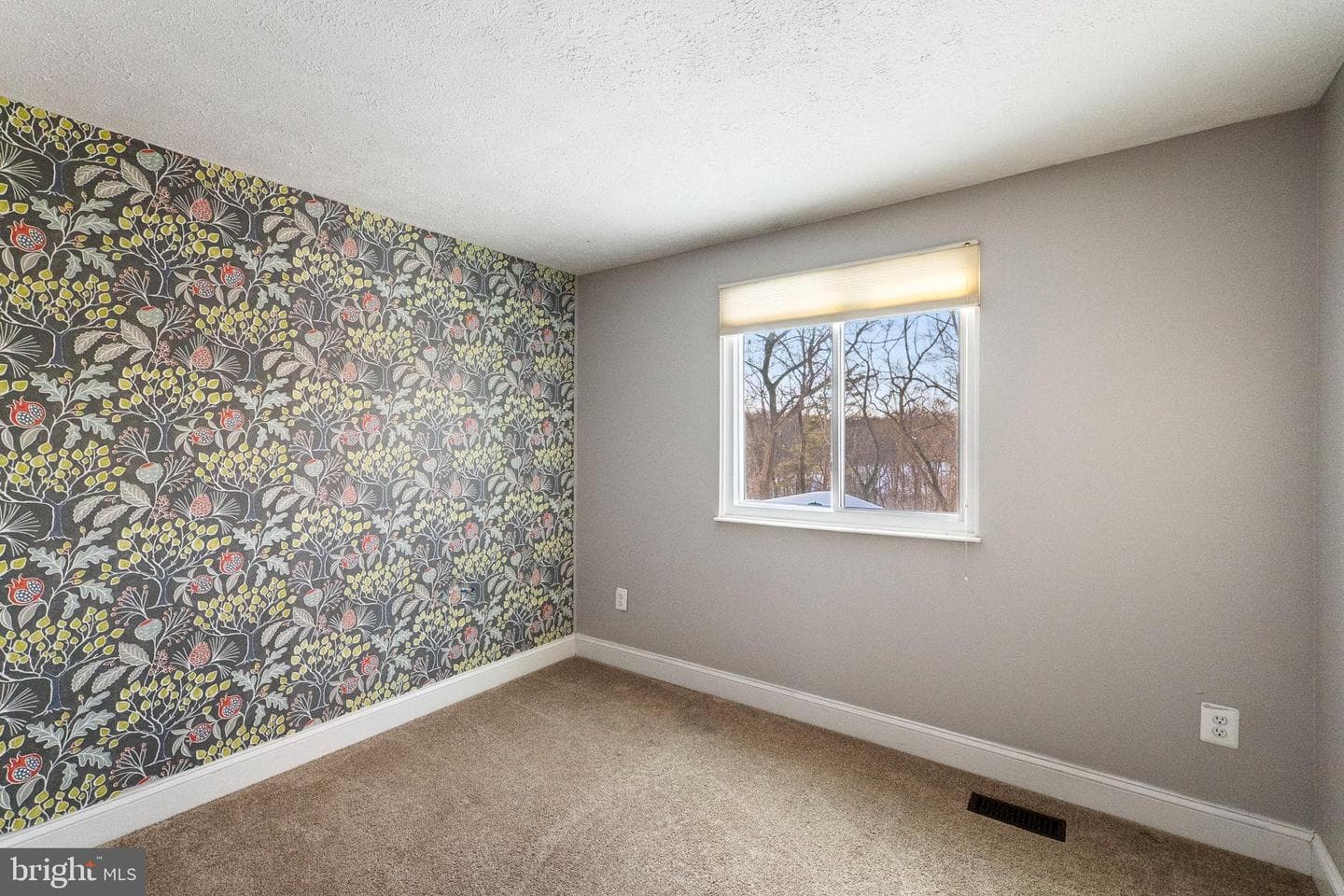 10133 Peanut Mill Drive photo 36