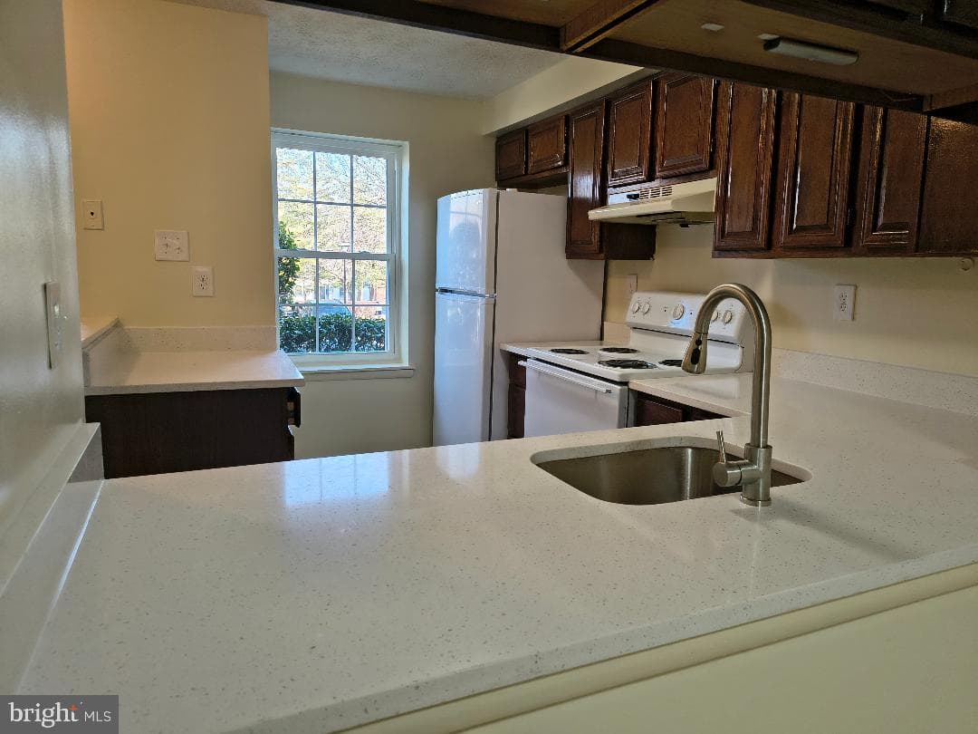 12502 Laurel Grove Place photo 19