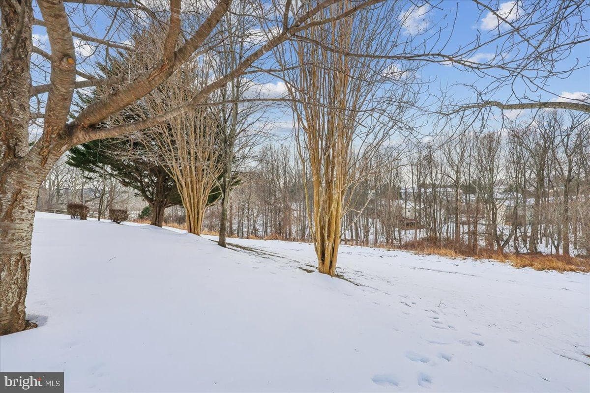 11102 Sceptre Ridge Terrace photo 40