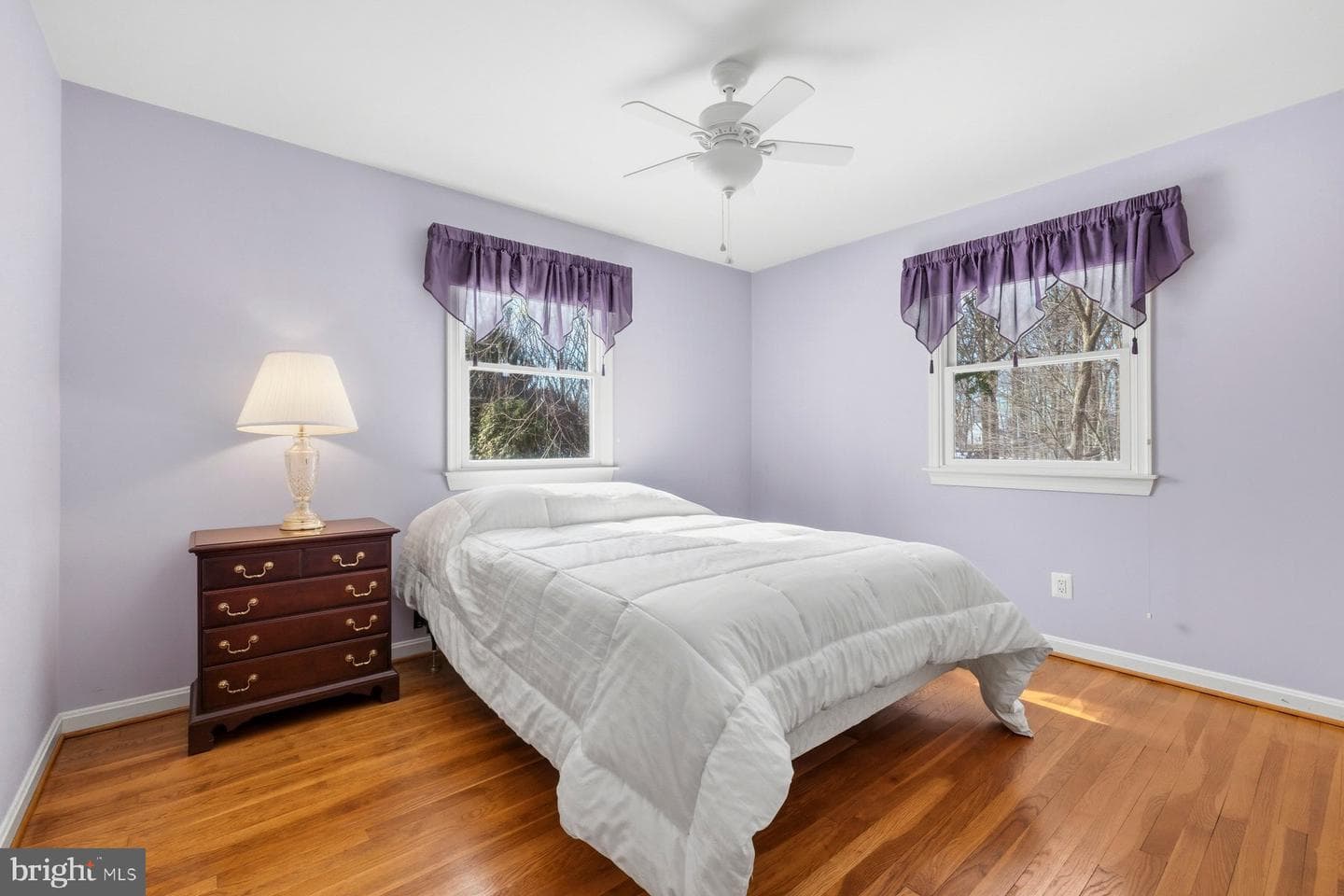 3 Shannon Court photo 14