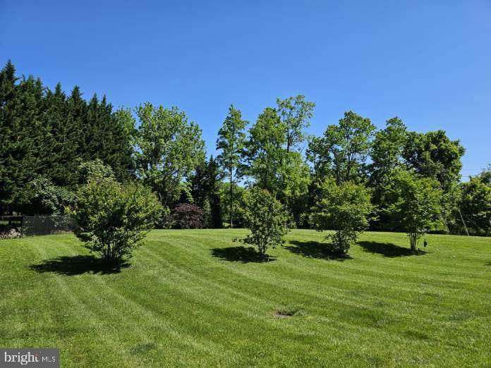 11409 Highland Farm Court photo 94
