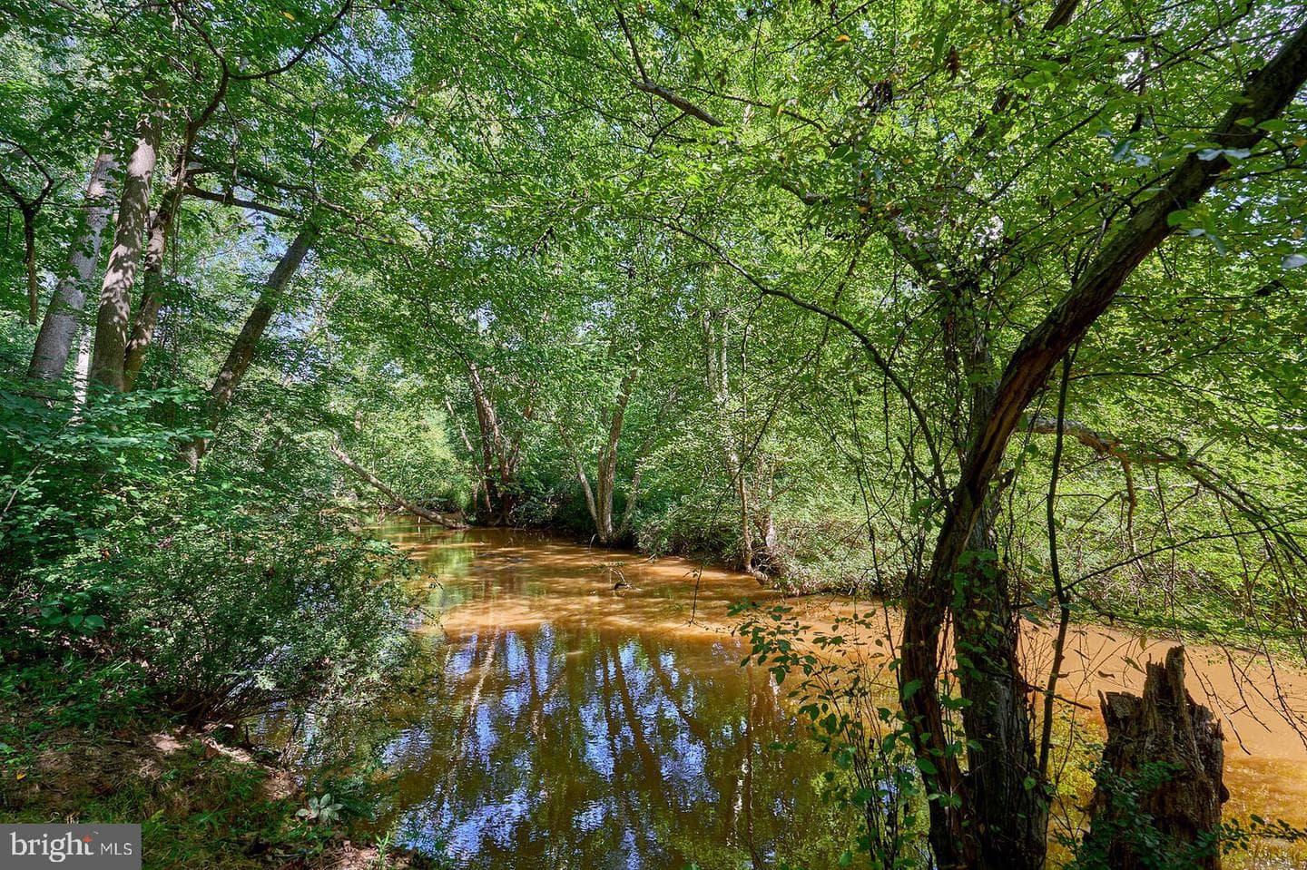31 Haviland Mill Road photo 10