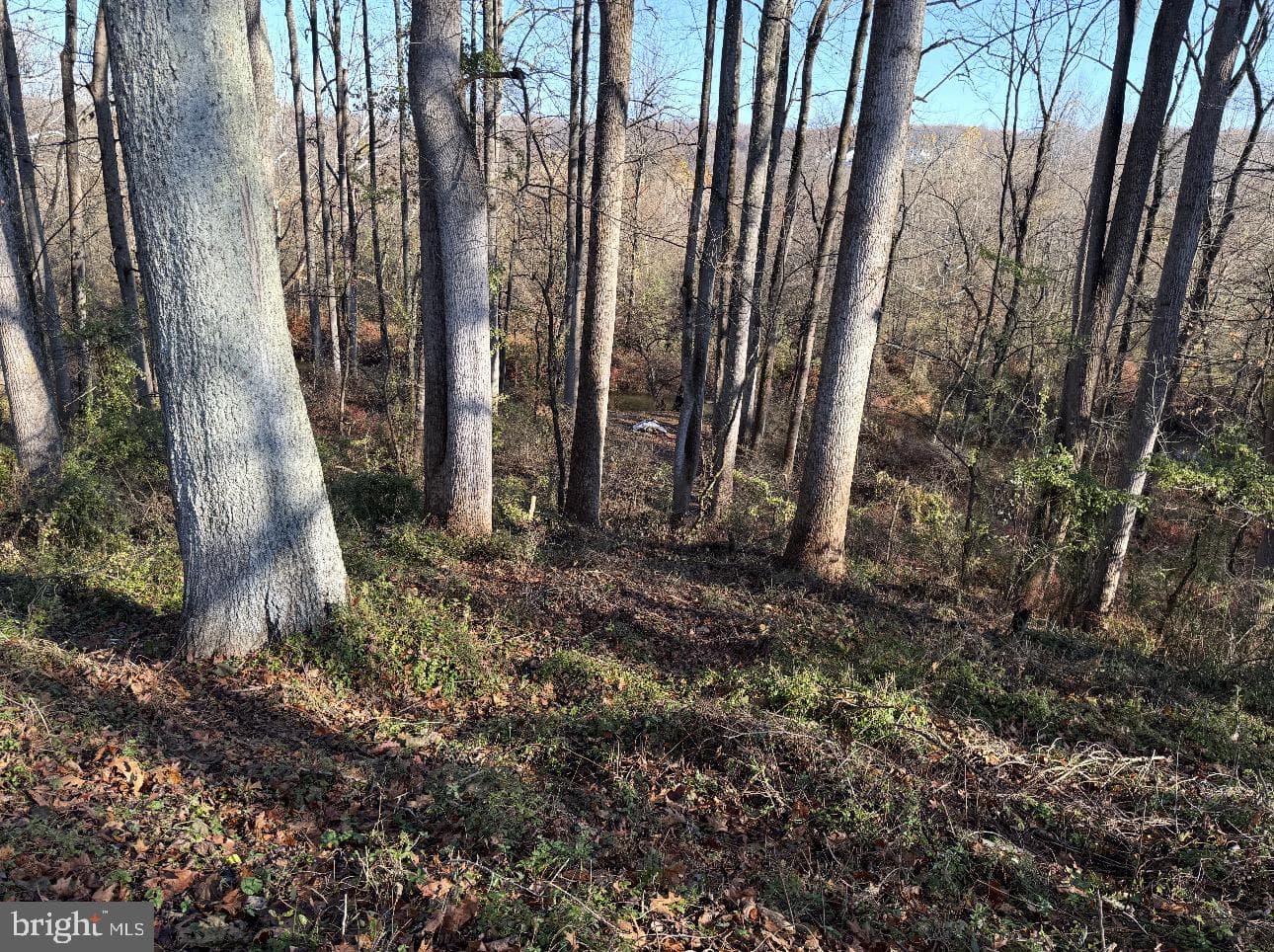 31 Haviland Mill Road photo 40
