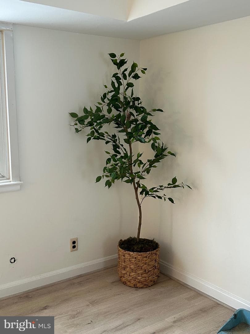 8542 Manchester Road #1-6 photo 8