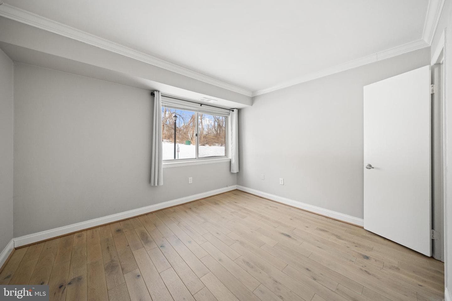 12202 Braxfield Court #5 photo 15