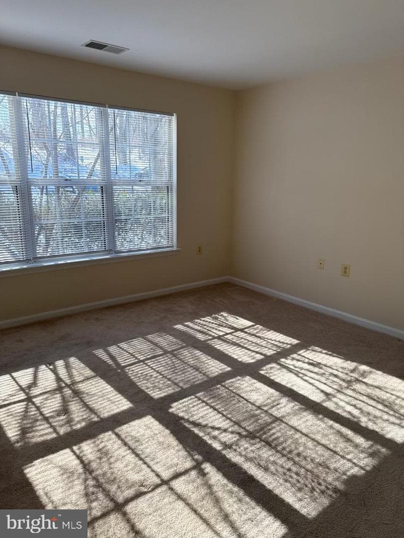 115 Timberbrook Lane #101 photo 12
