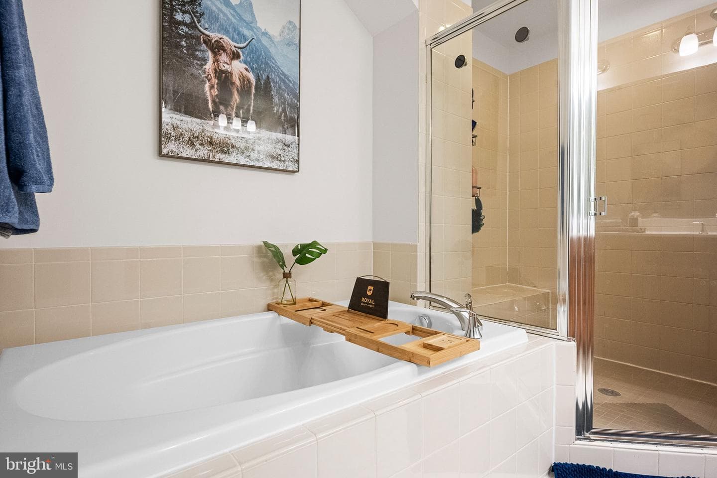 20335 Notting Hill photo 27