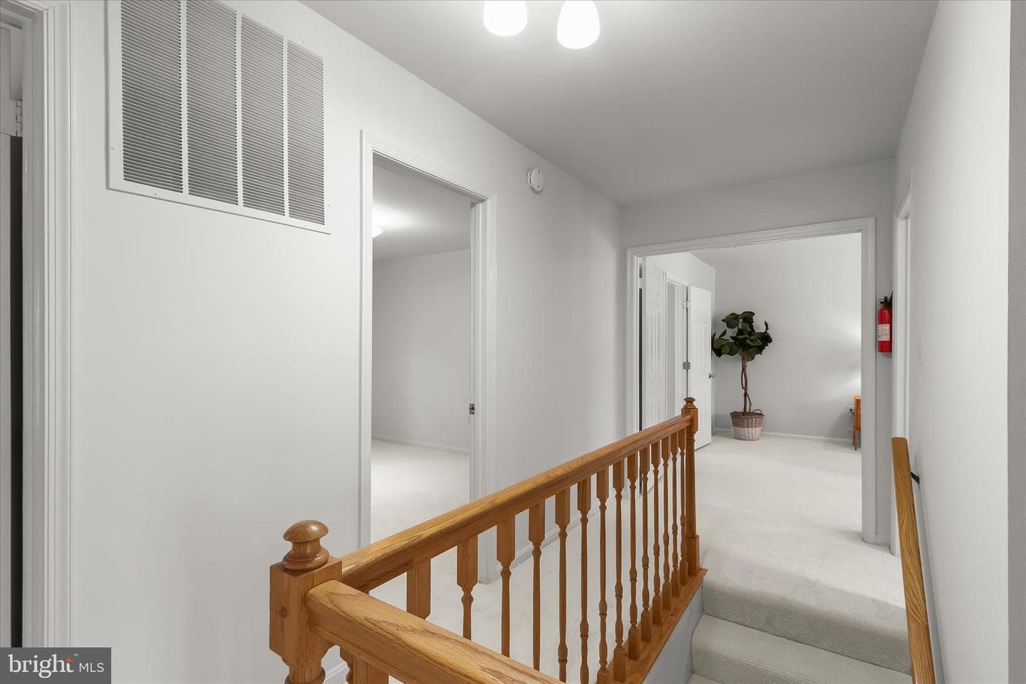 4 Hollyberry Court photo 50