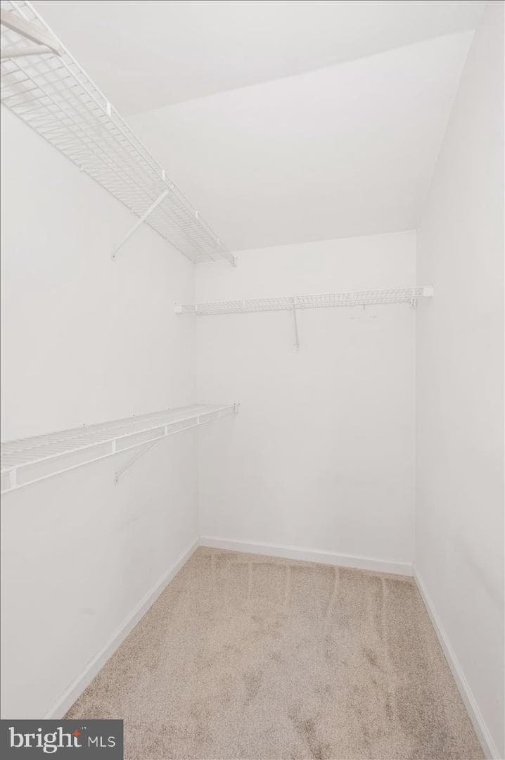 2800 Abbey Manor Circle photo 40