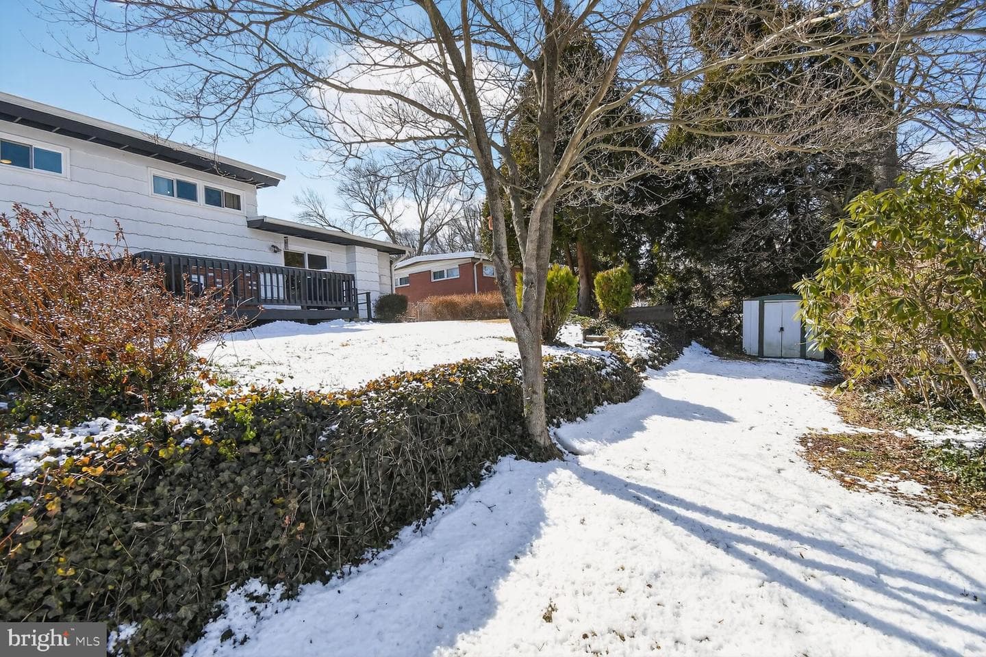 12 Dorothy Lane photo 17